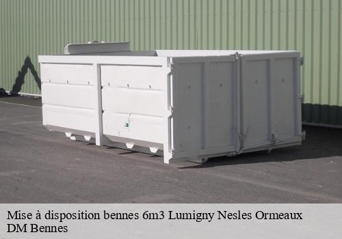 Mise à disposition bennes 6m3 lumigny-nesles-ormeaux-77540 DM Bennes