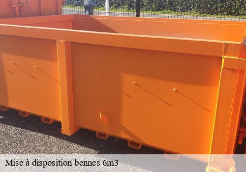 Mise à disposition bennes 6m3 moussy-le-vieux-77230 DM Bennes