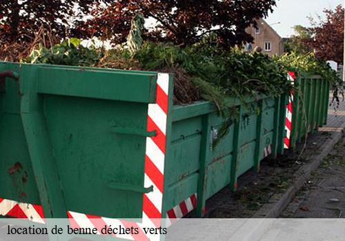 location de benne déchets verts lumigny-nesles-ormeaux-77540 DM Bennes
